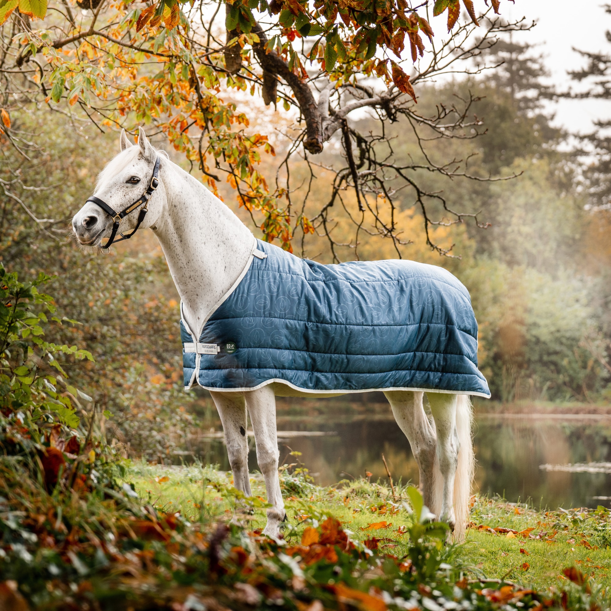Horseware Eco Liner 100g - Teal