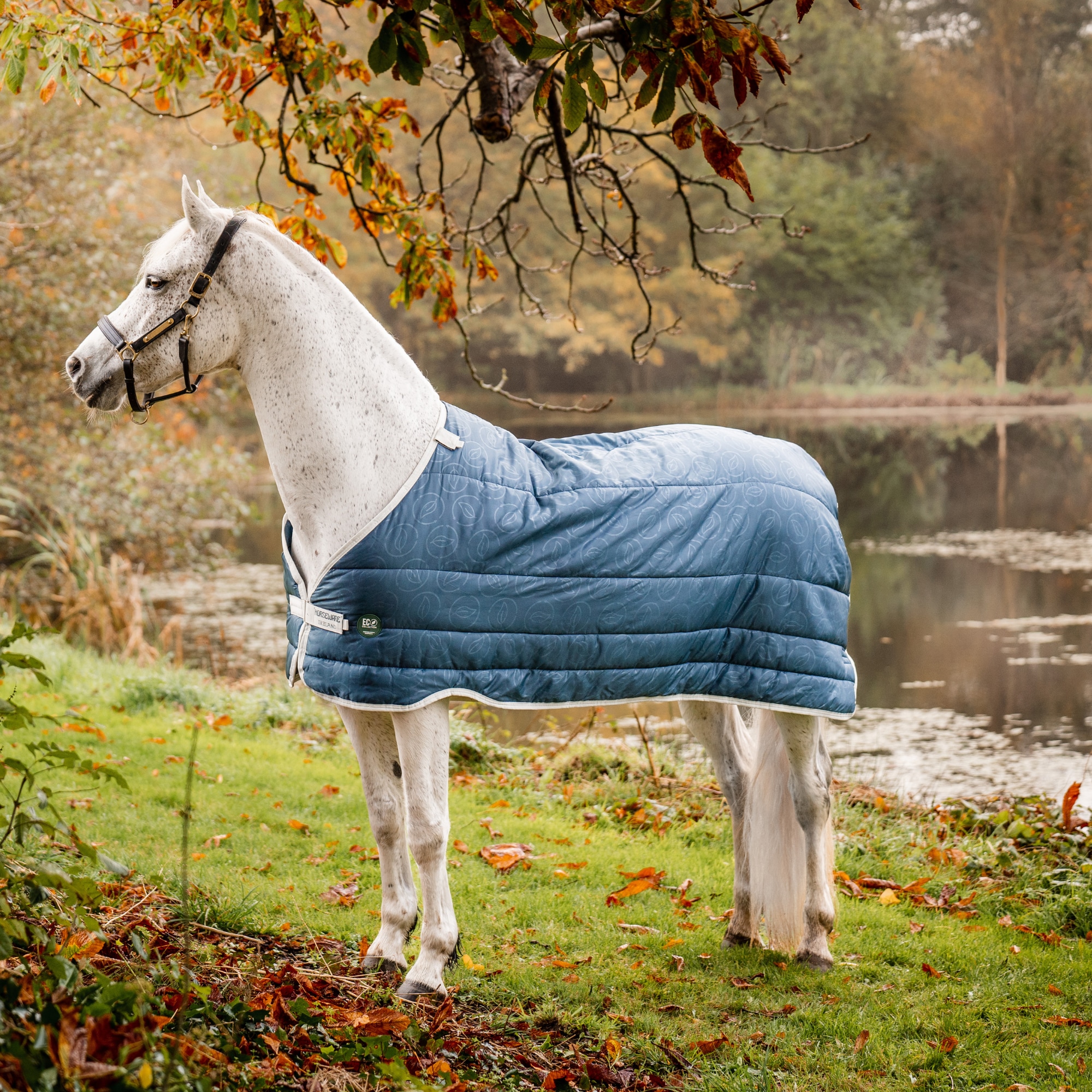 Horseware Eco Liner 200g - Teal