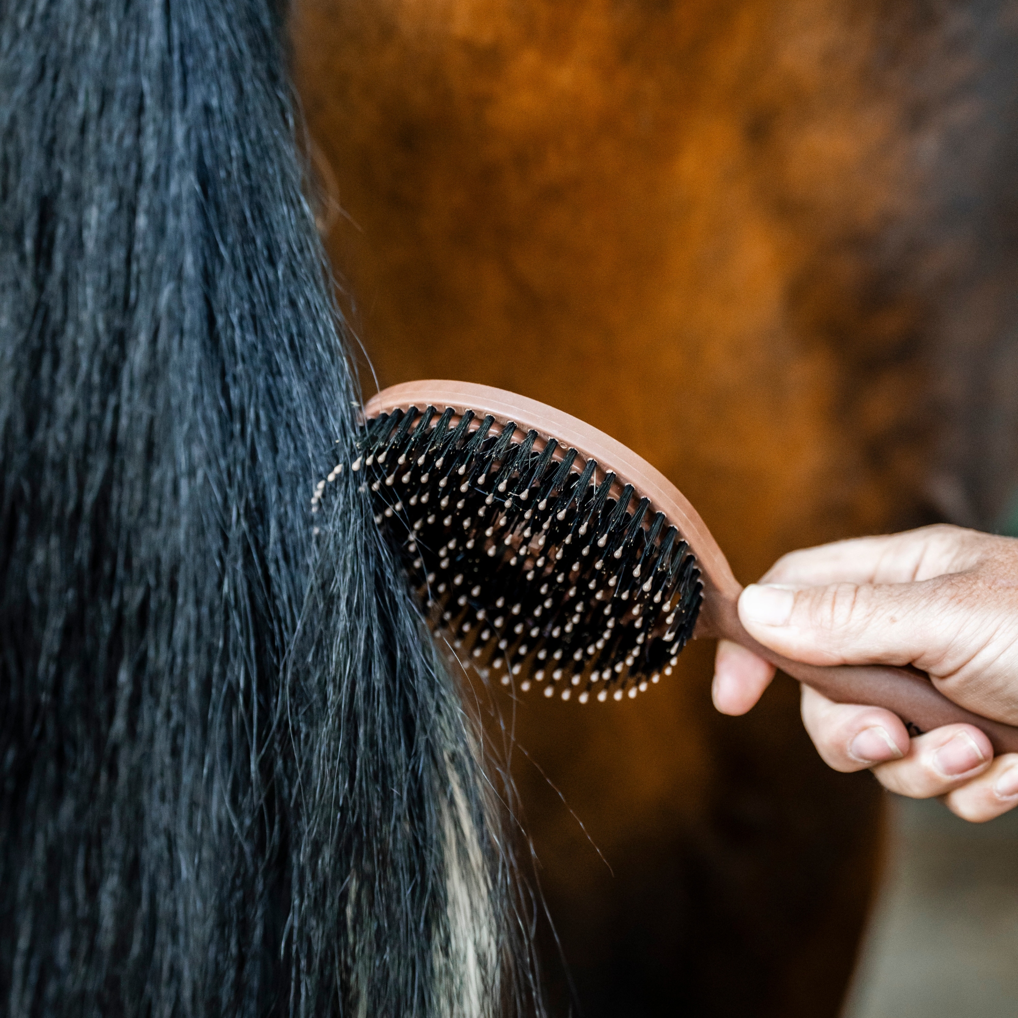 HW Signature Mane & Tail Brush