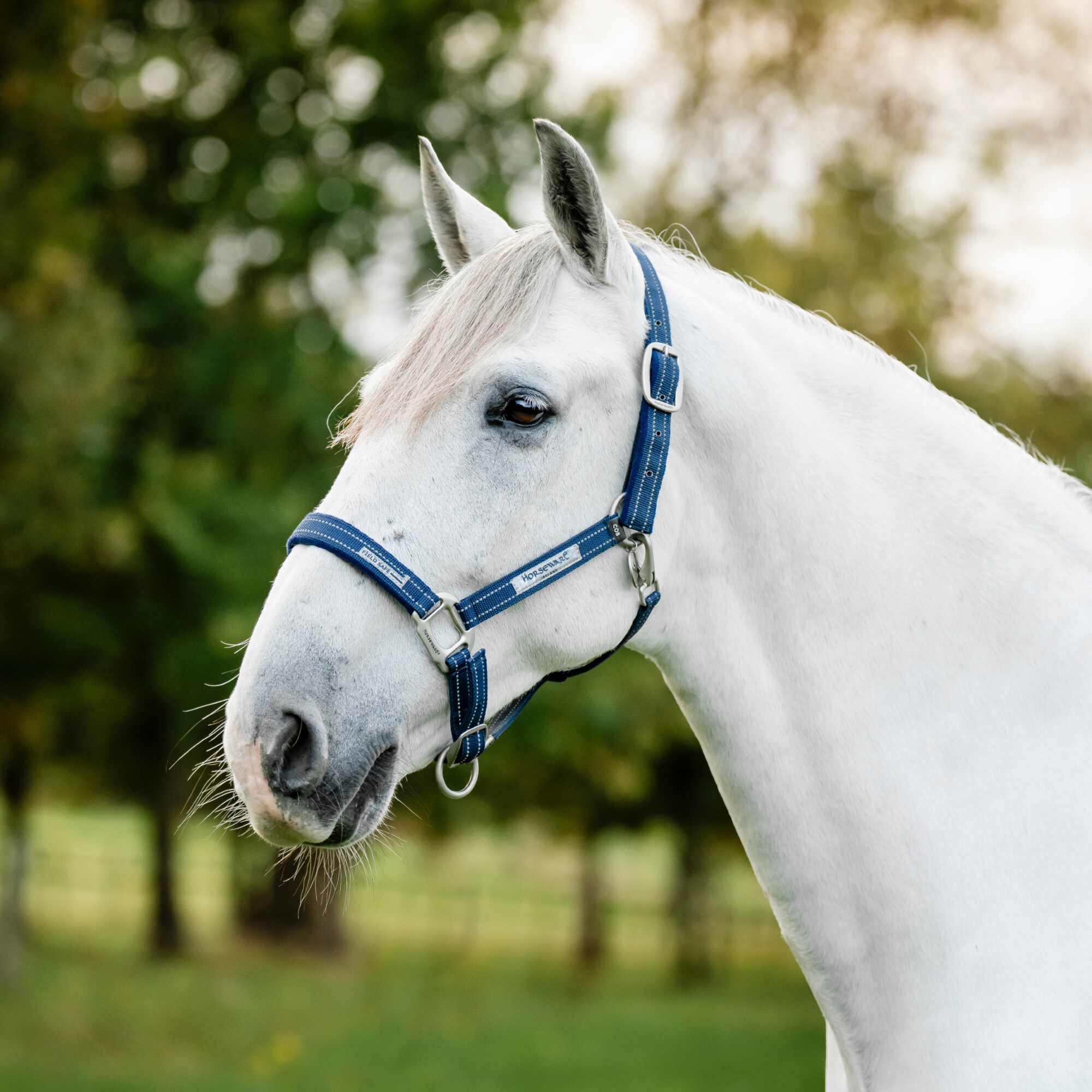 Field Safe Halter - Navy
