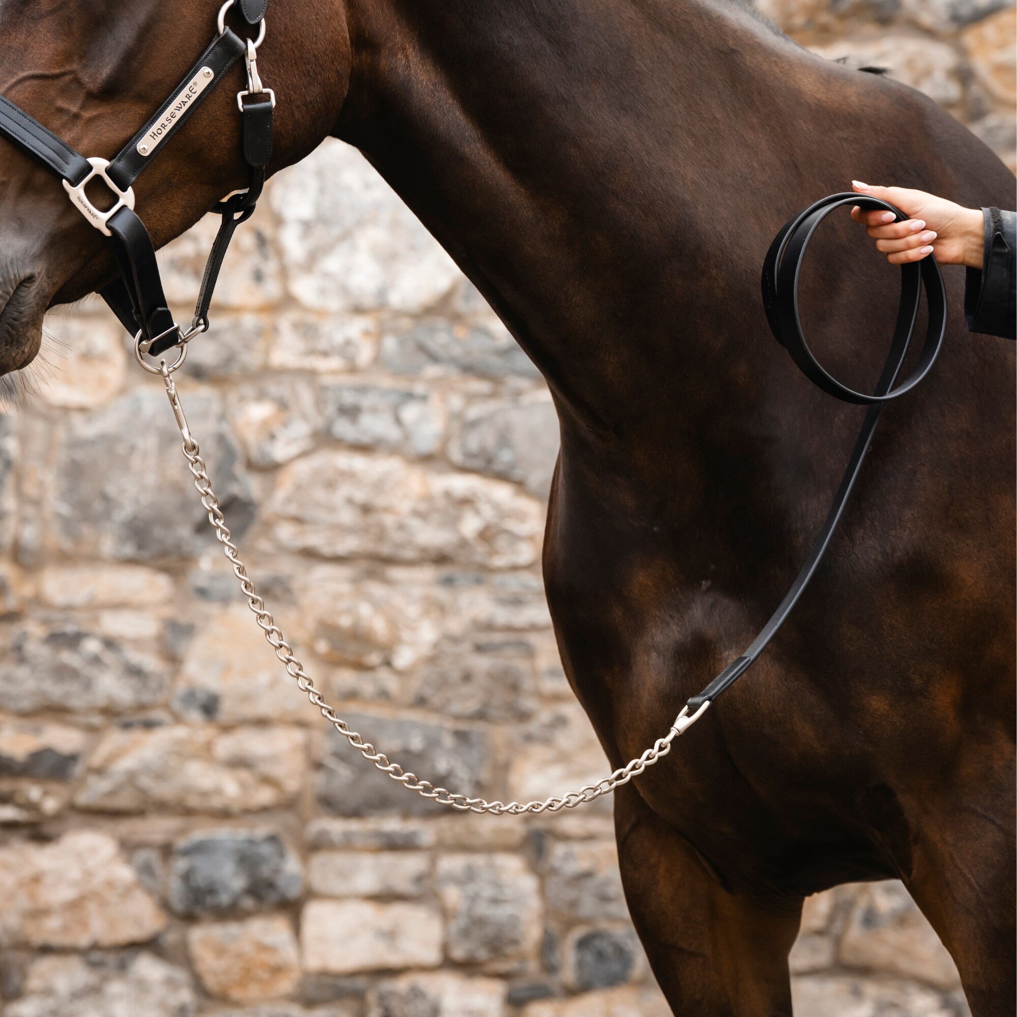Leather Lead Rope with Chain - Black
