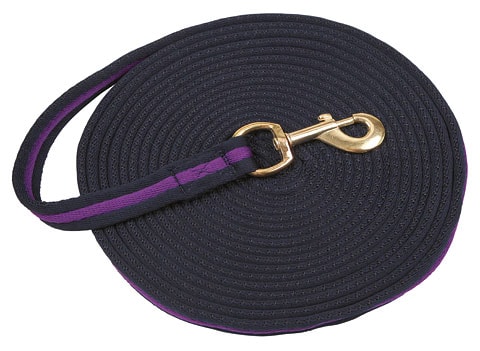 Lunge line - Navy/violet