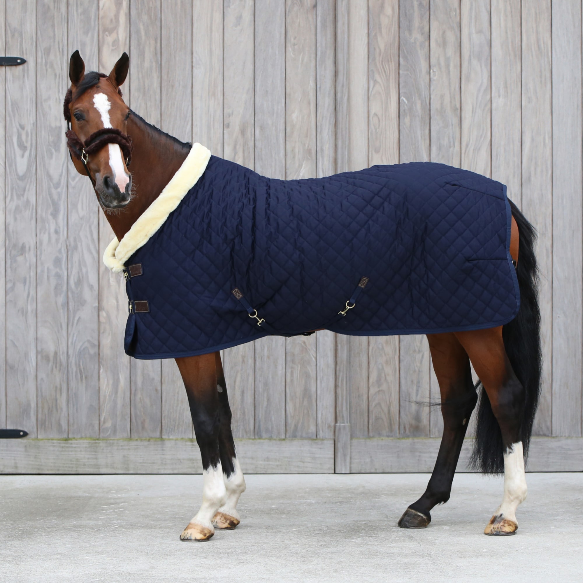 Show Rug 160 gr - Navy