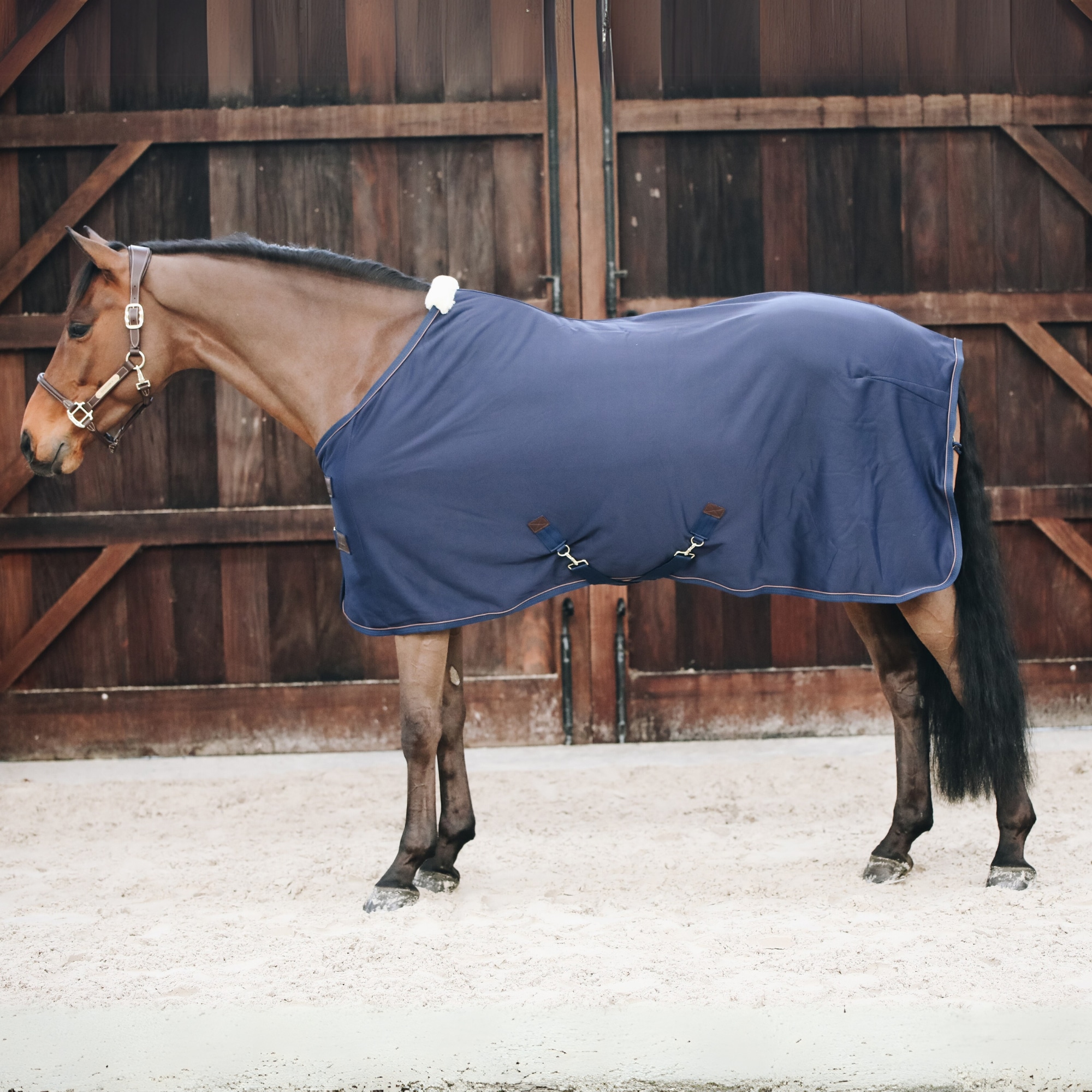 Cooler Fleece Rug - Navy