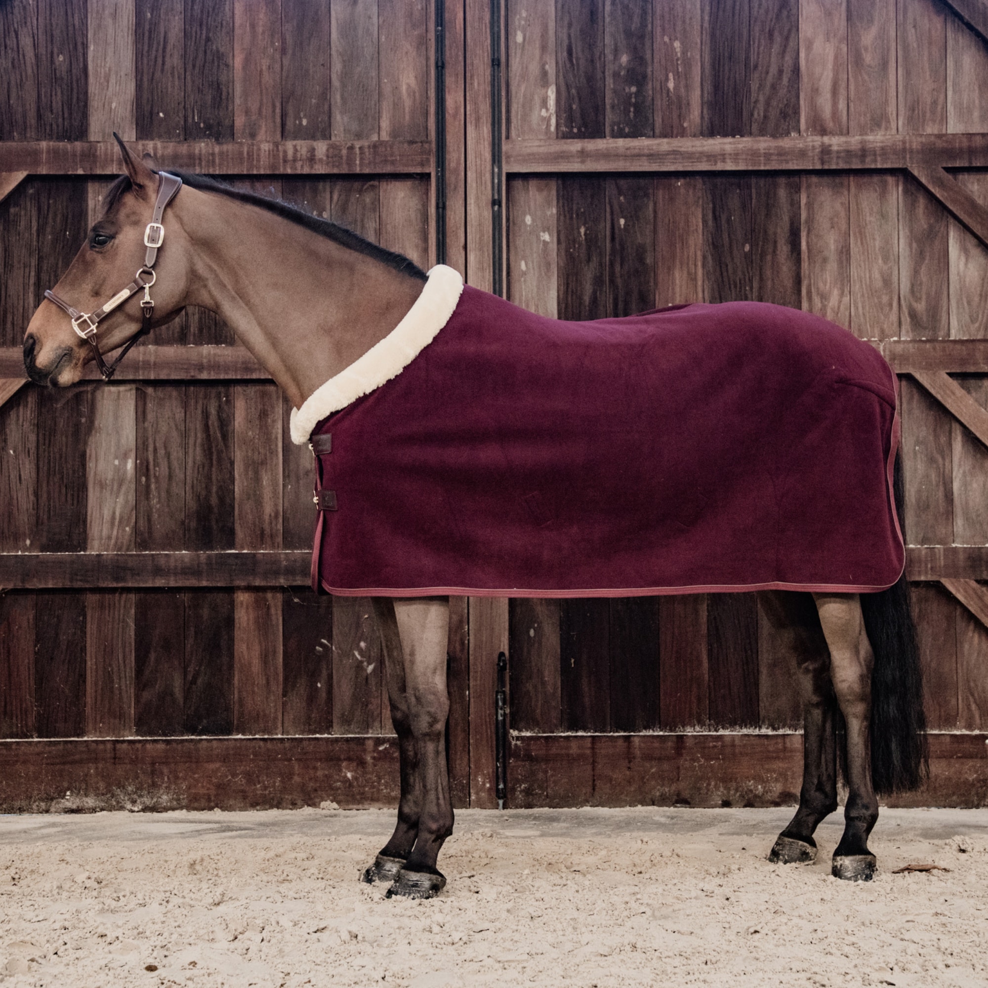 Fleece Show Rug - Bordeaux