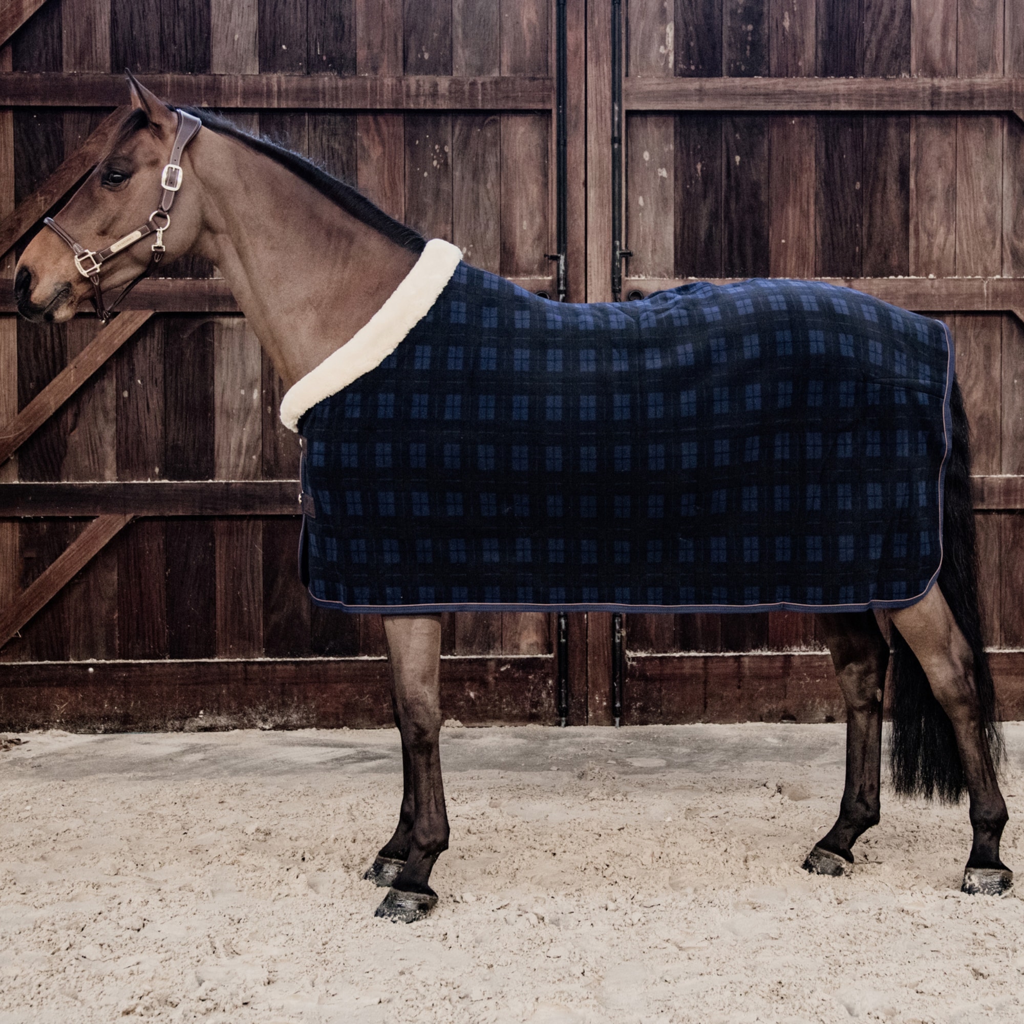 Fleece Show Rug - Navy/Check