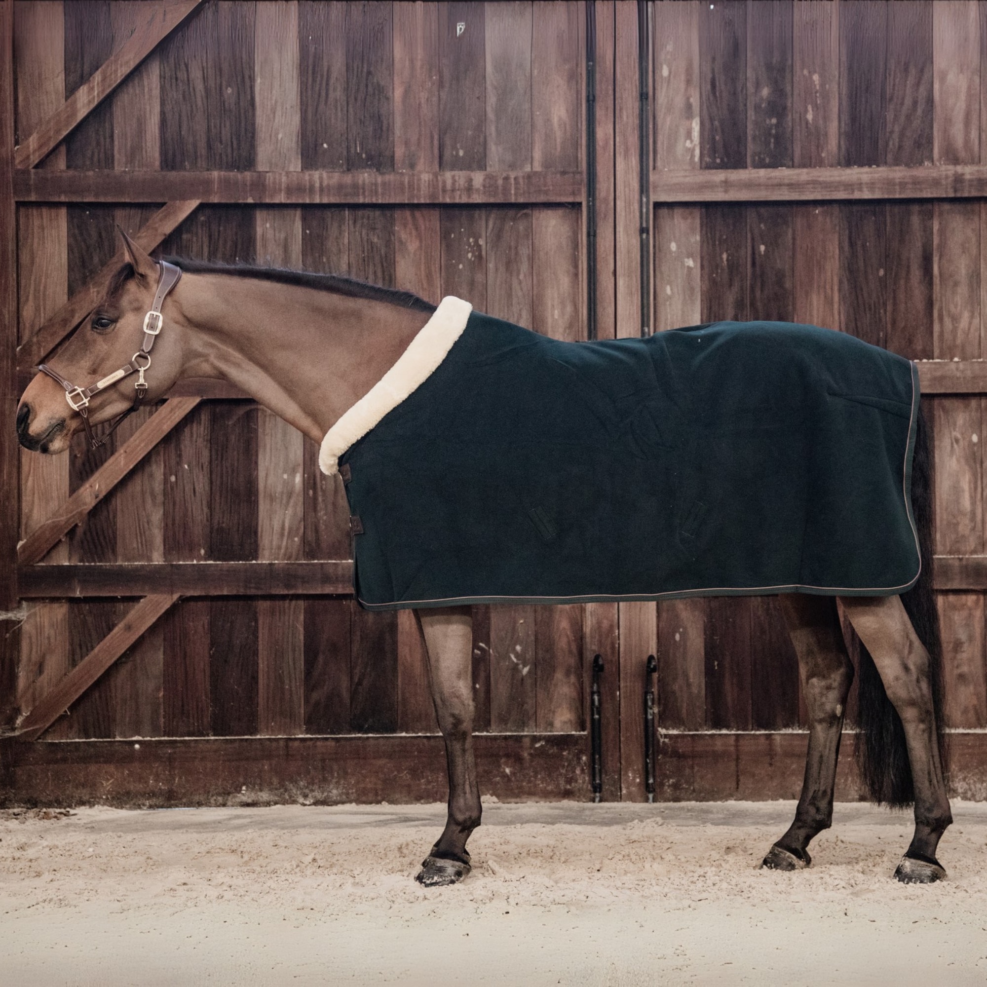 Fleece Show Rug - Pine Green