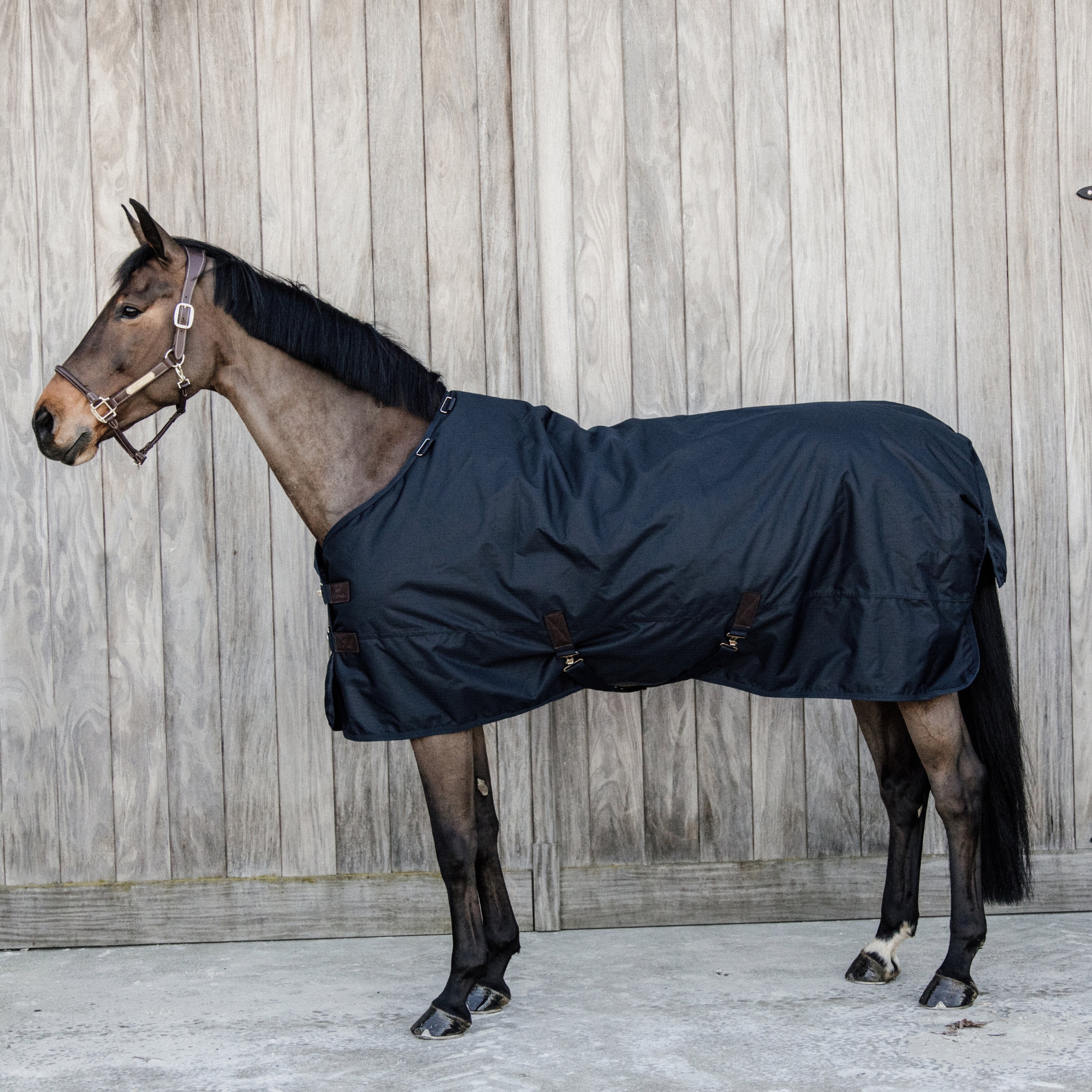 Turnout Rug Waterproof 0 gr - Navy