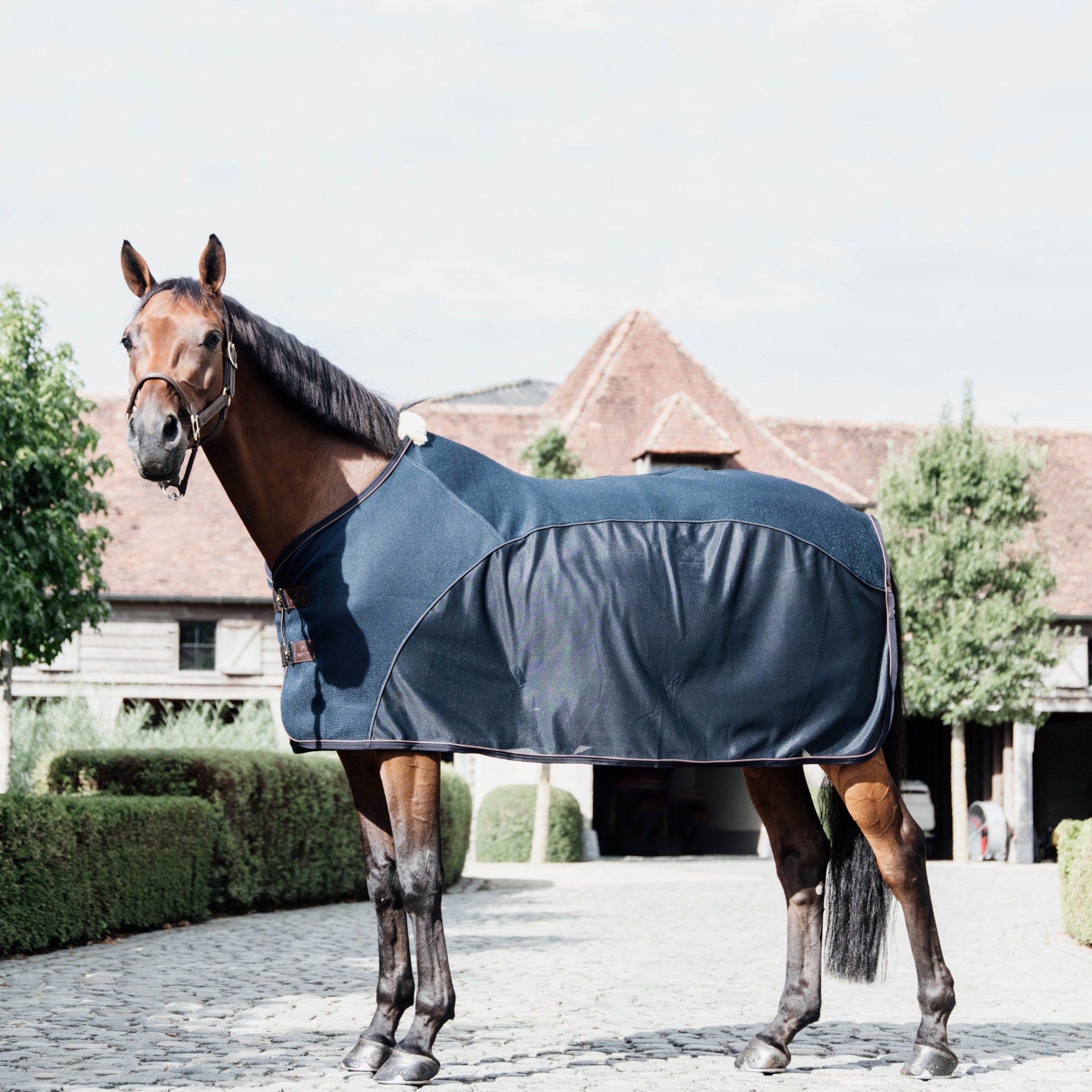 Mesh Combo Cooler Sheet - Navy