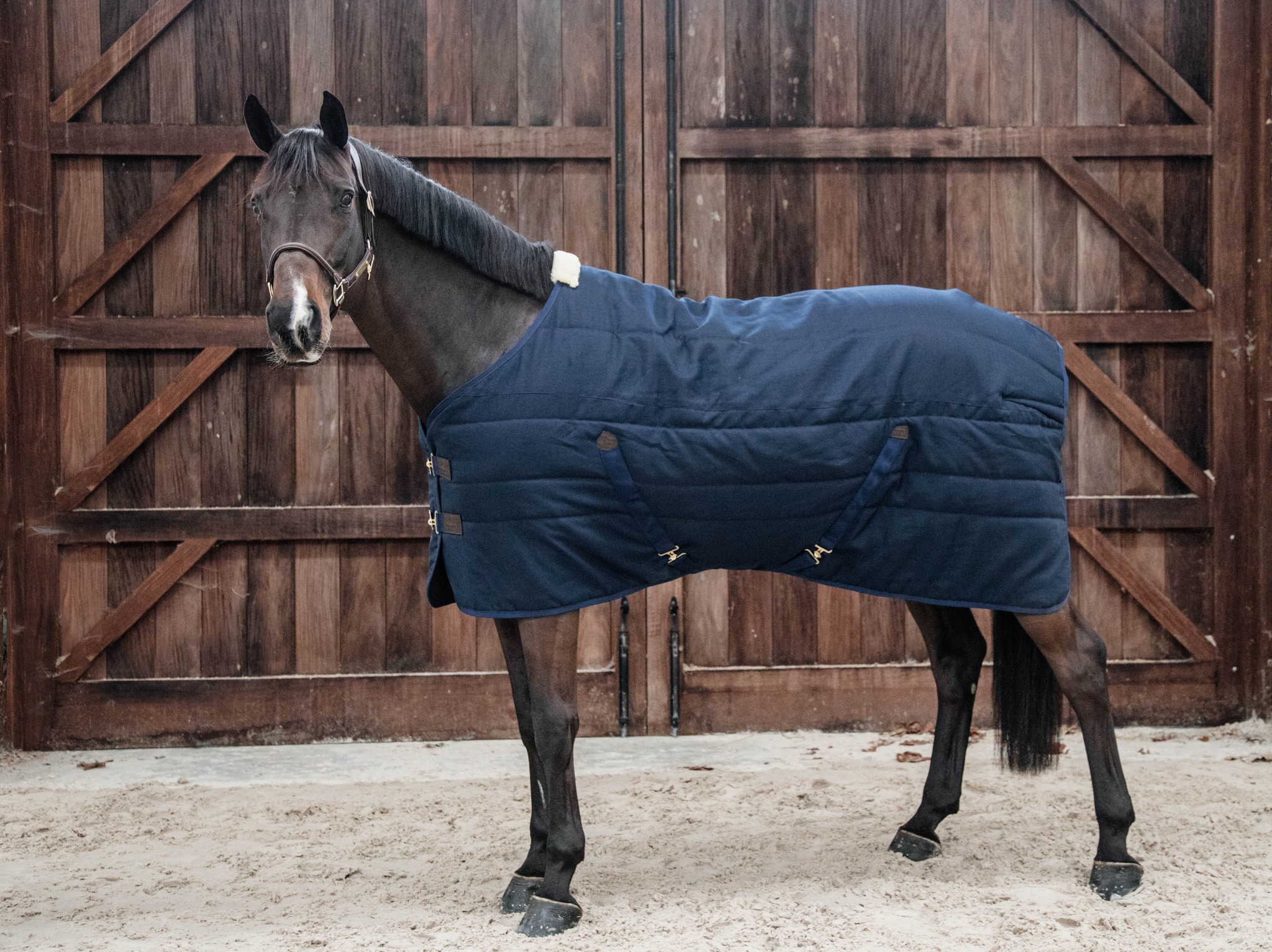 Stable Rug 100g - Navy