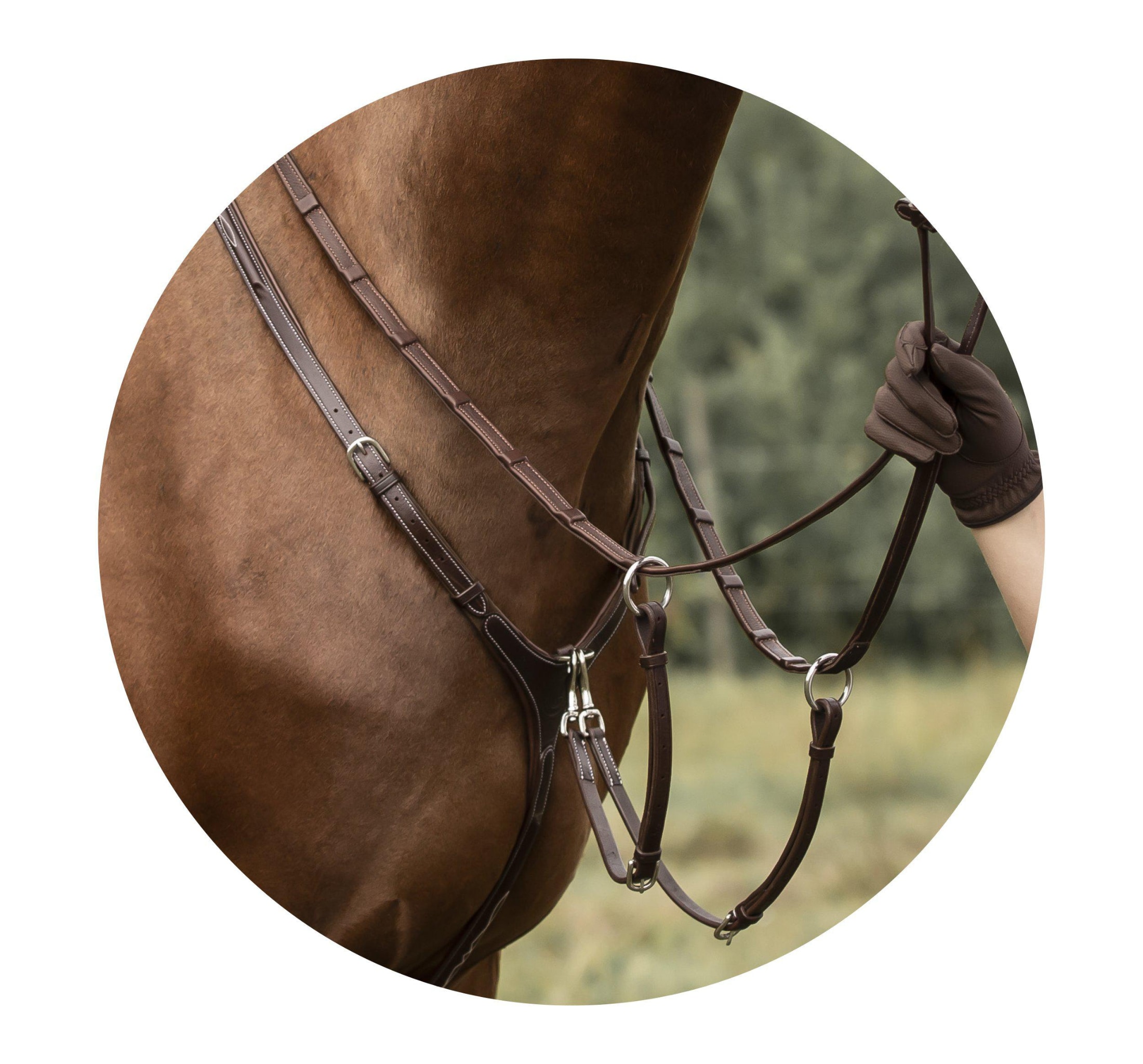 flrbygel-fazzino-choklad-silver