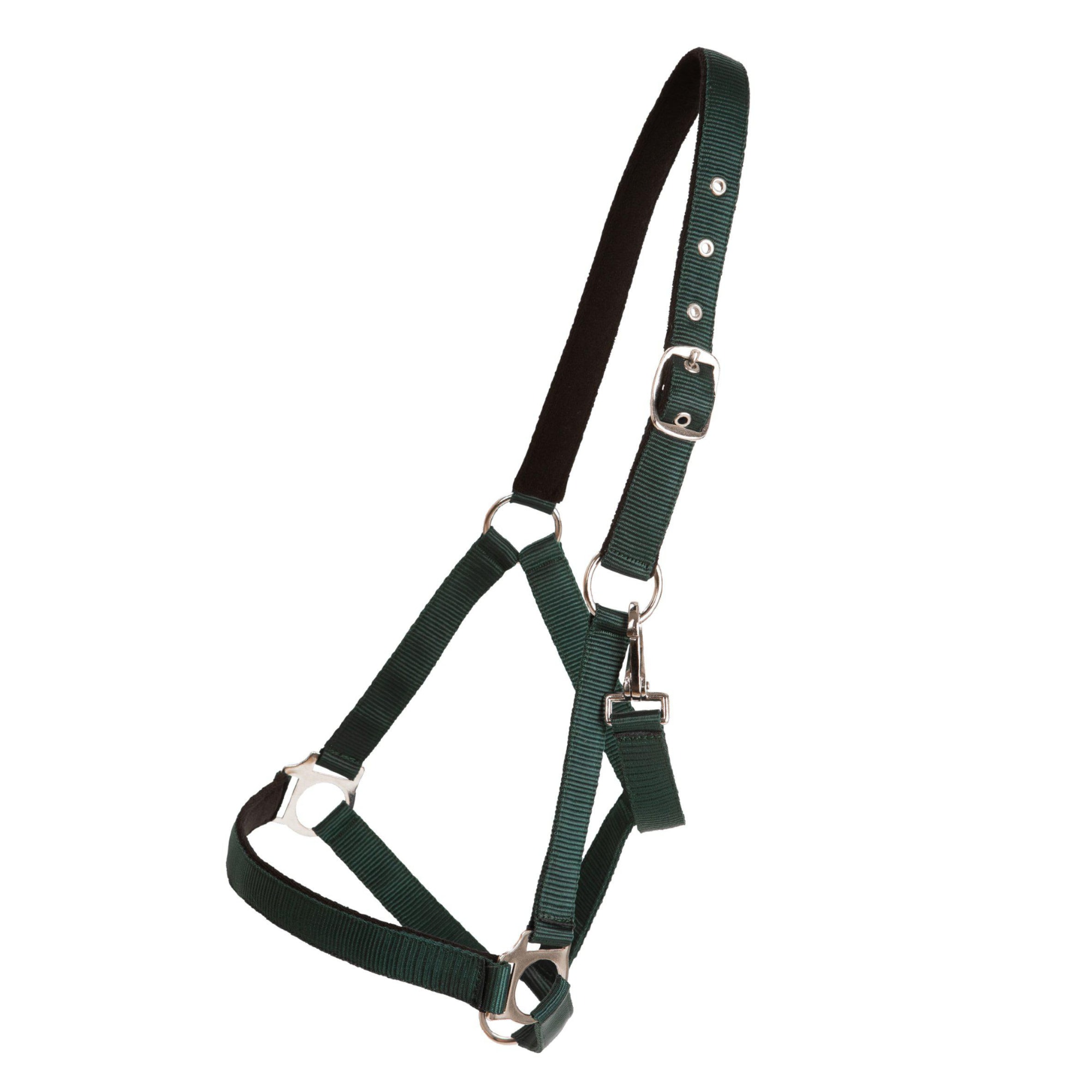 Nylon Halter Basic - Green