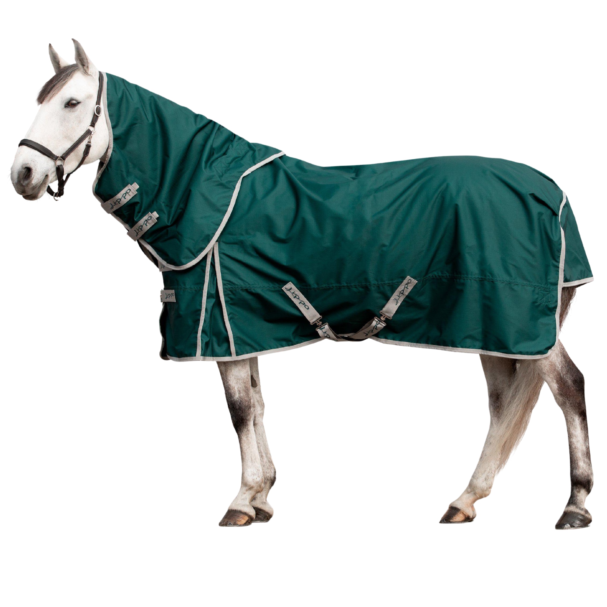 Lippo Basic 600D Turnout Rug with Hood - 50g - Green