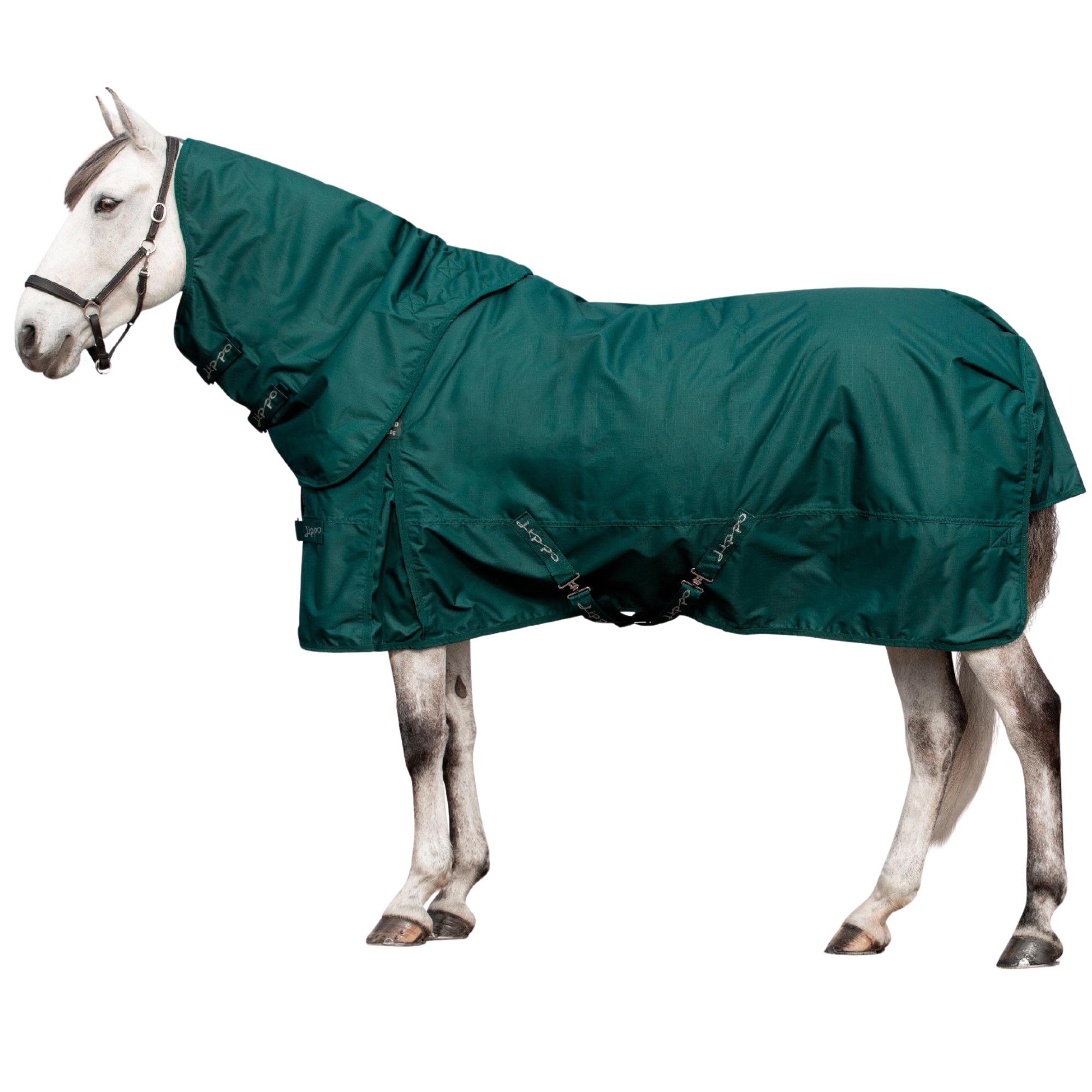 Lippo Basic 600D Turnout Rug with Hood - 150g - Green