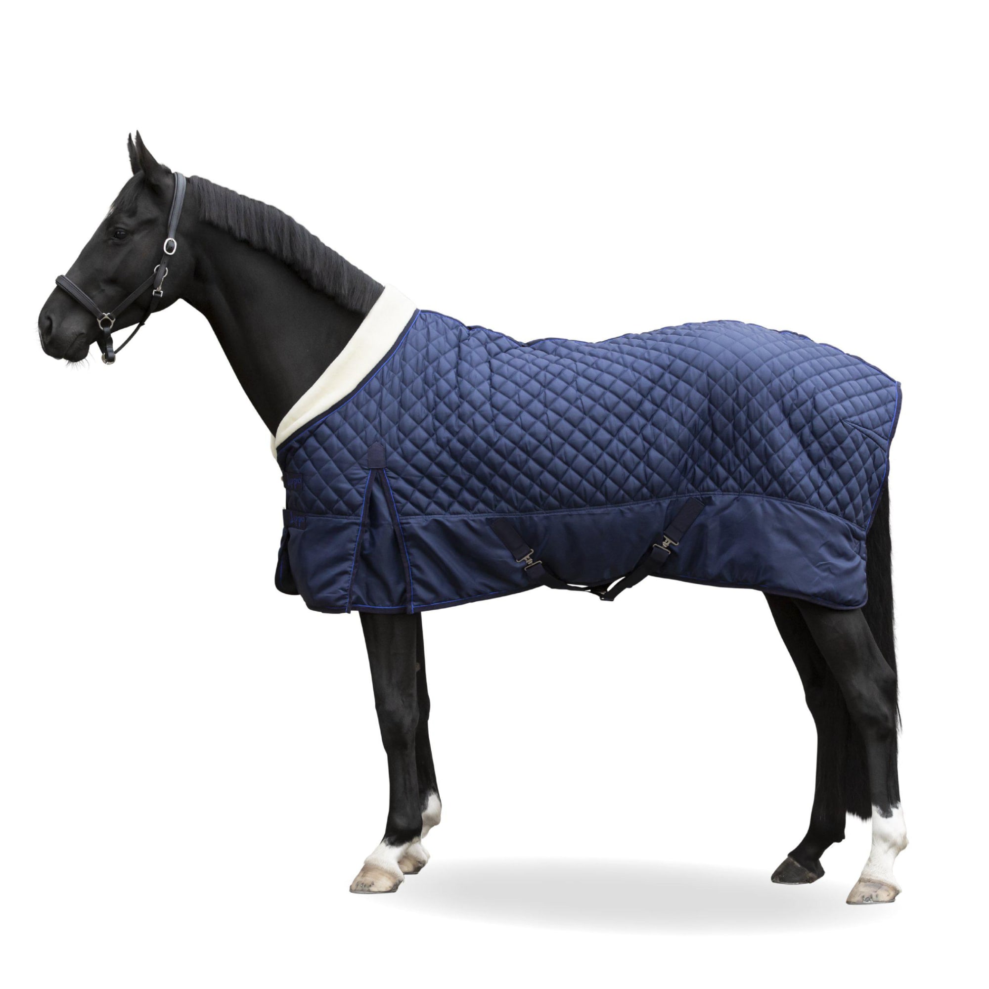 Show Rug 200g - Navy