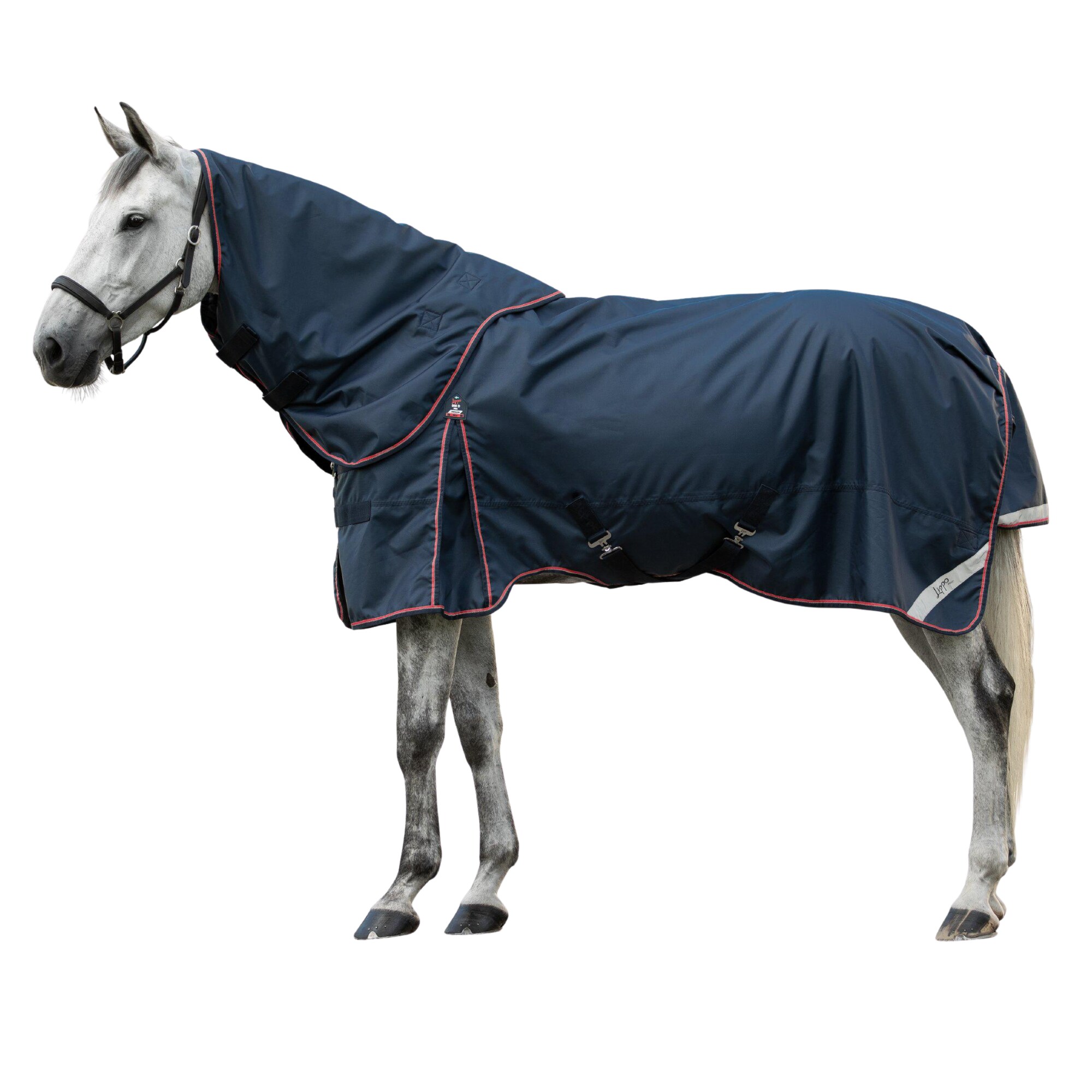 Lippo Pro 900D Turnout Rug with Hood - 100gr - Navy