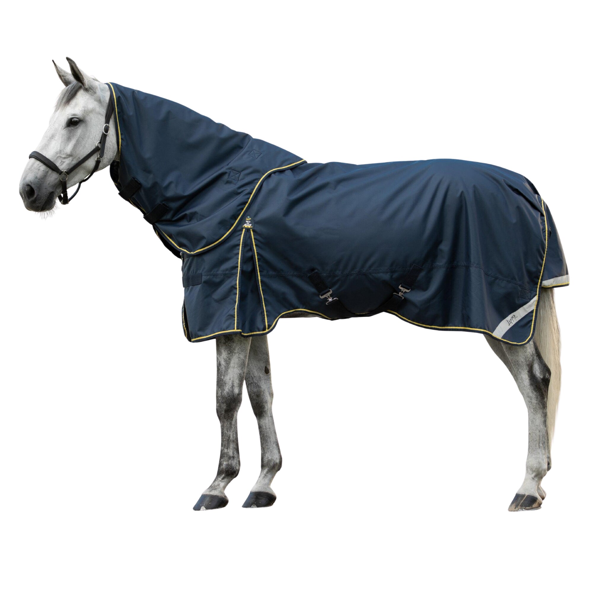Lippo Pro 900D Turnout Rug with Hood - 50gr - Navy