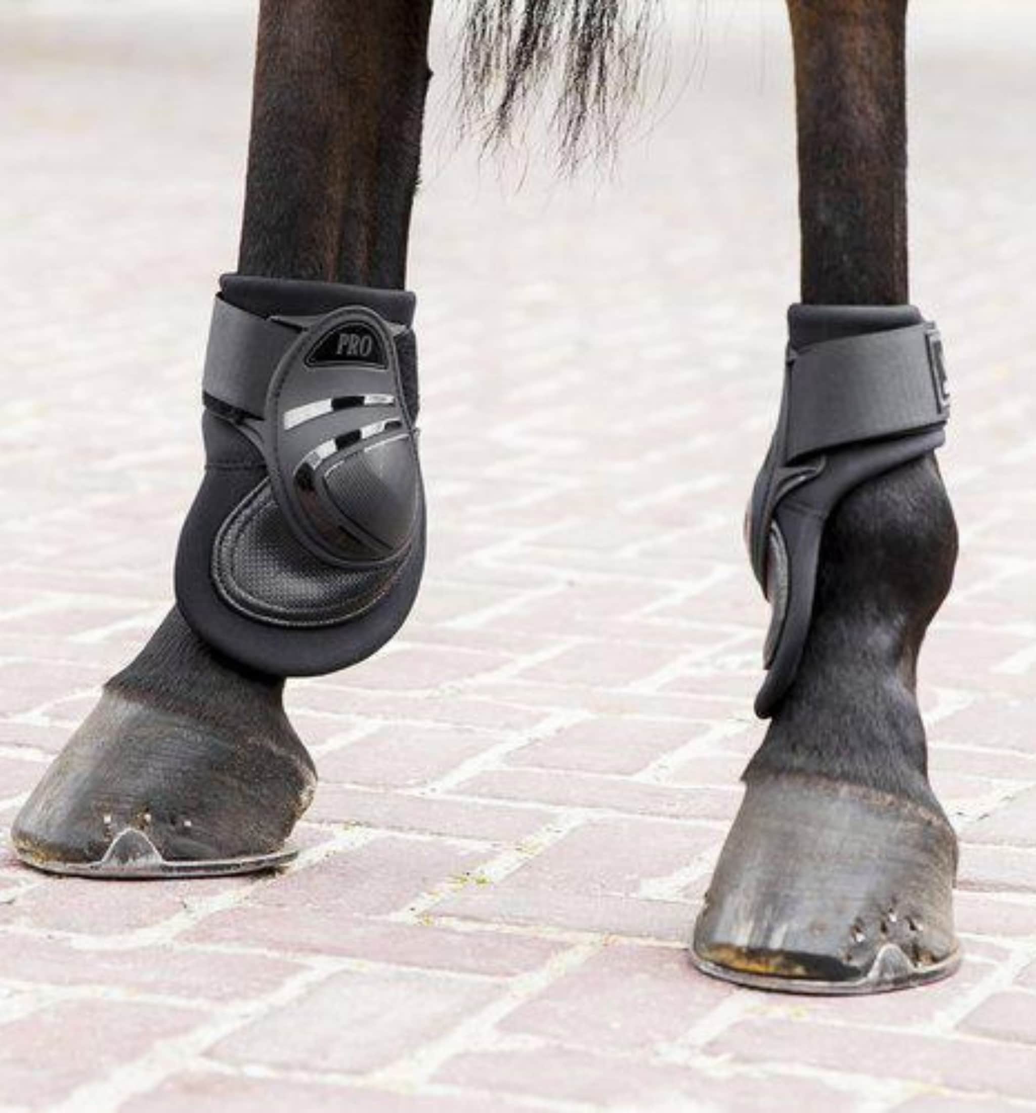 Deep Fetlock Boots V22 - Black