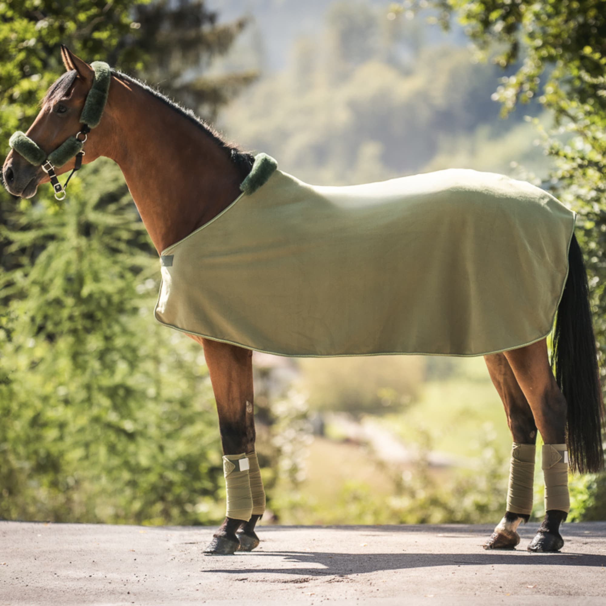 Mattes Fleece Rug - Olive