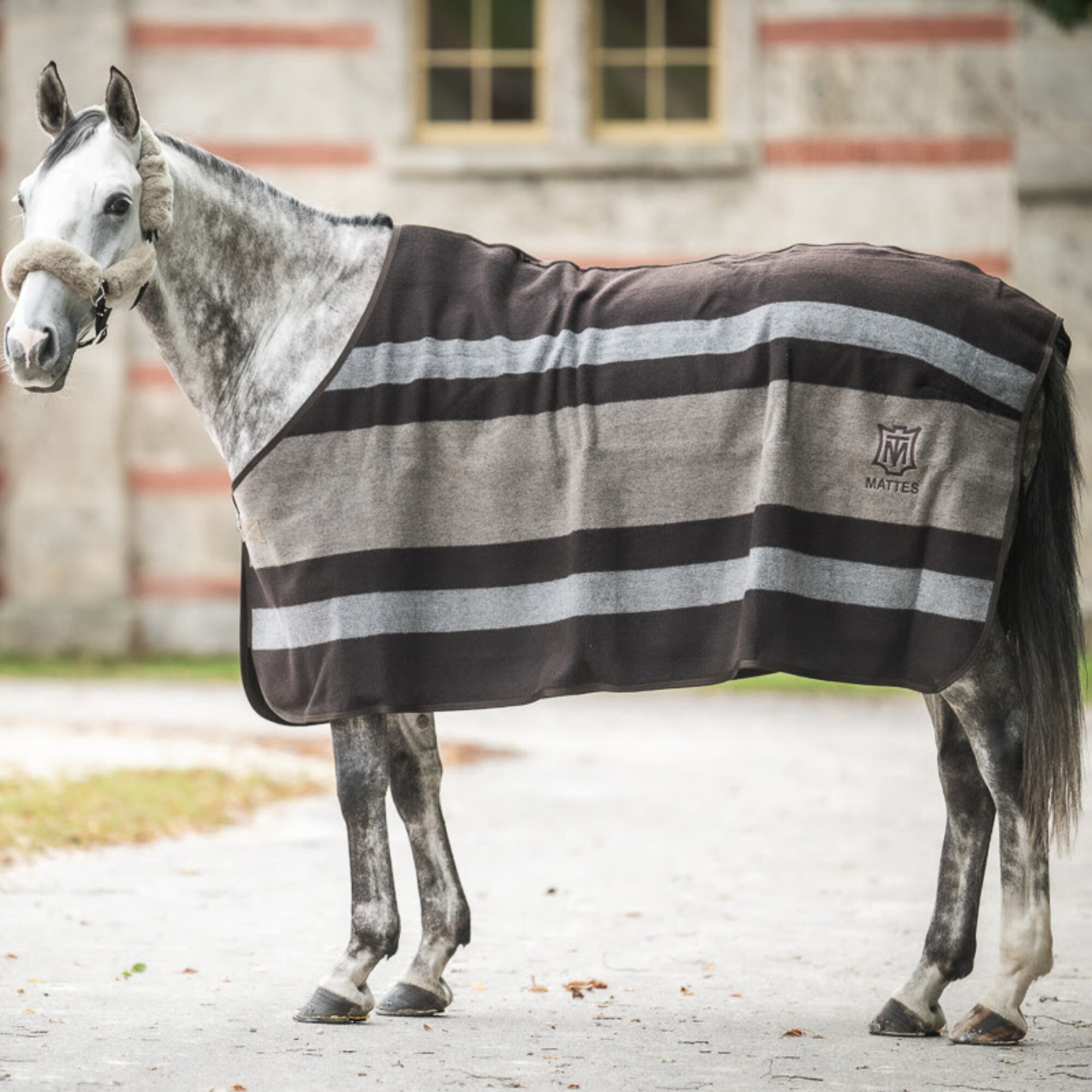 Wool Rug - Brown/Grey