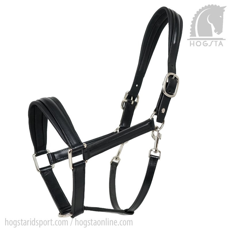 Black Leather Halter With Black Lead Rope for Hobby Horse