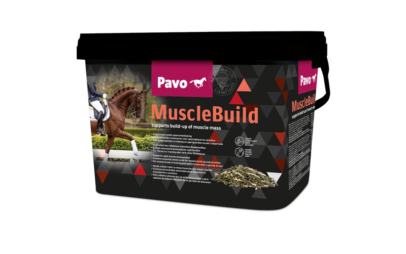 Pavo Muscle Build 3 kg. Hogsta Foderbutik.