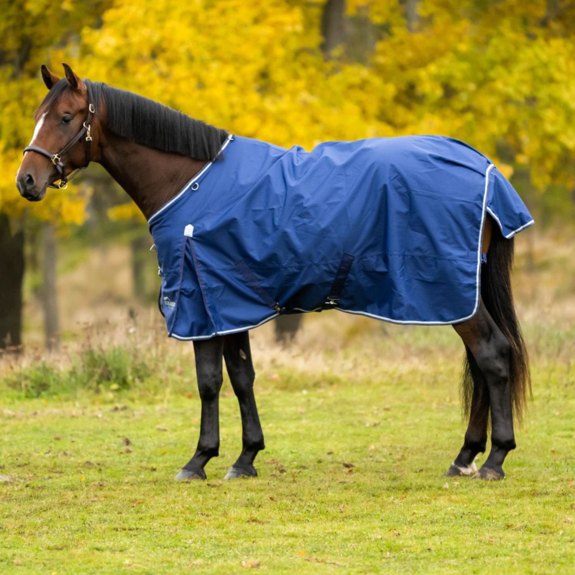Highlander Original Outdoor Rug 0g -Navy