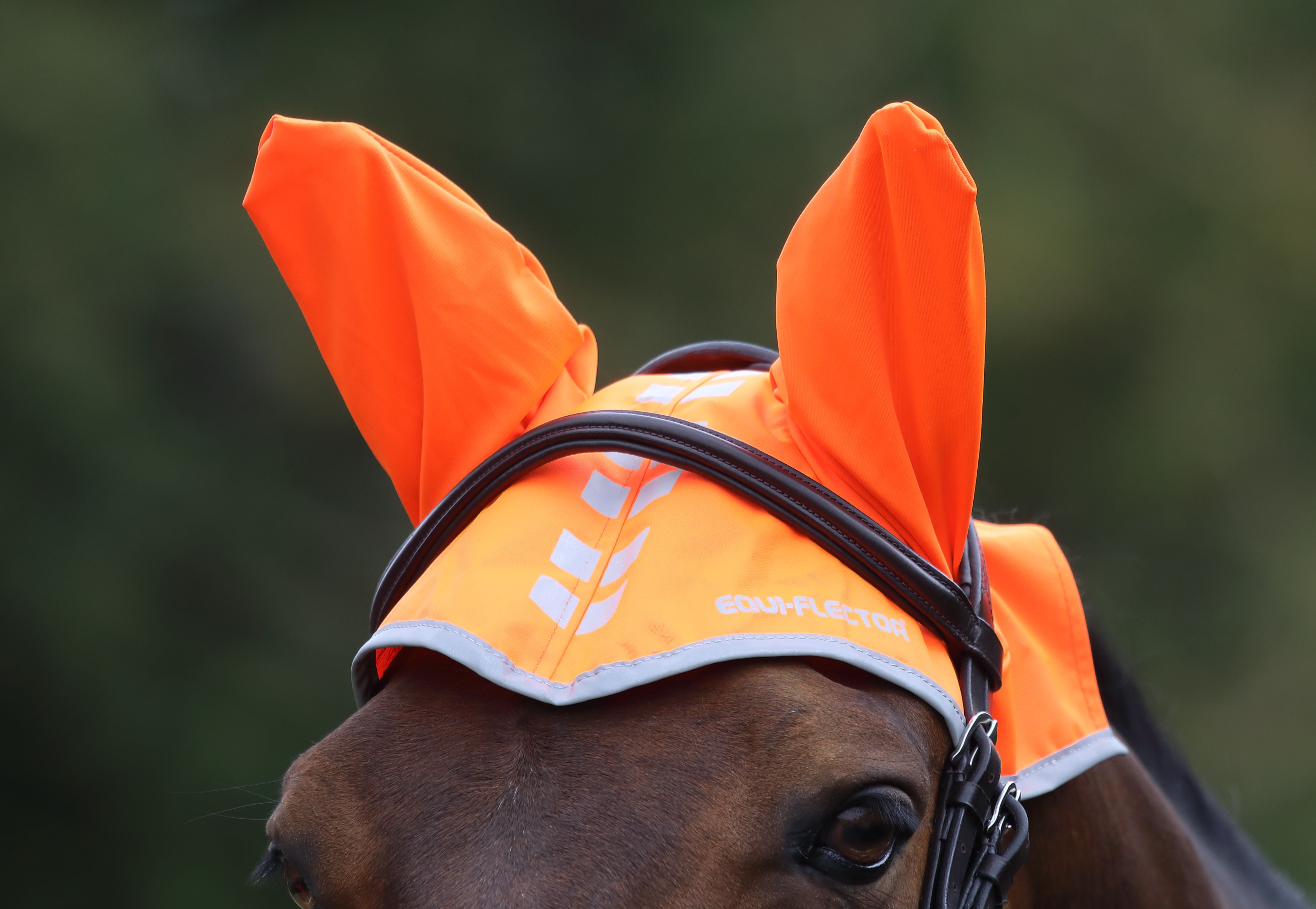 Reflex luva till häst i orange