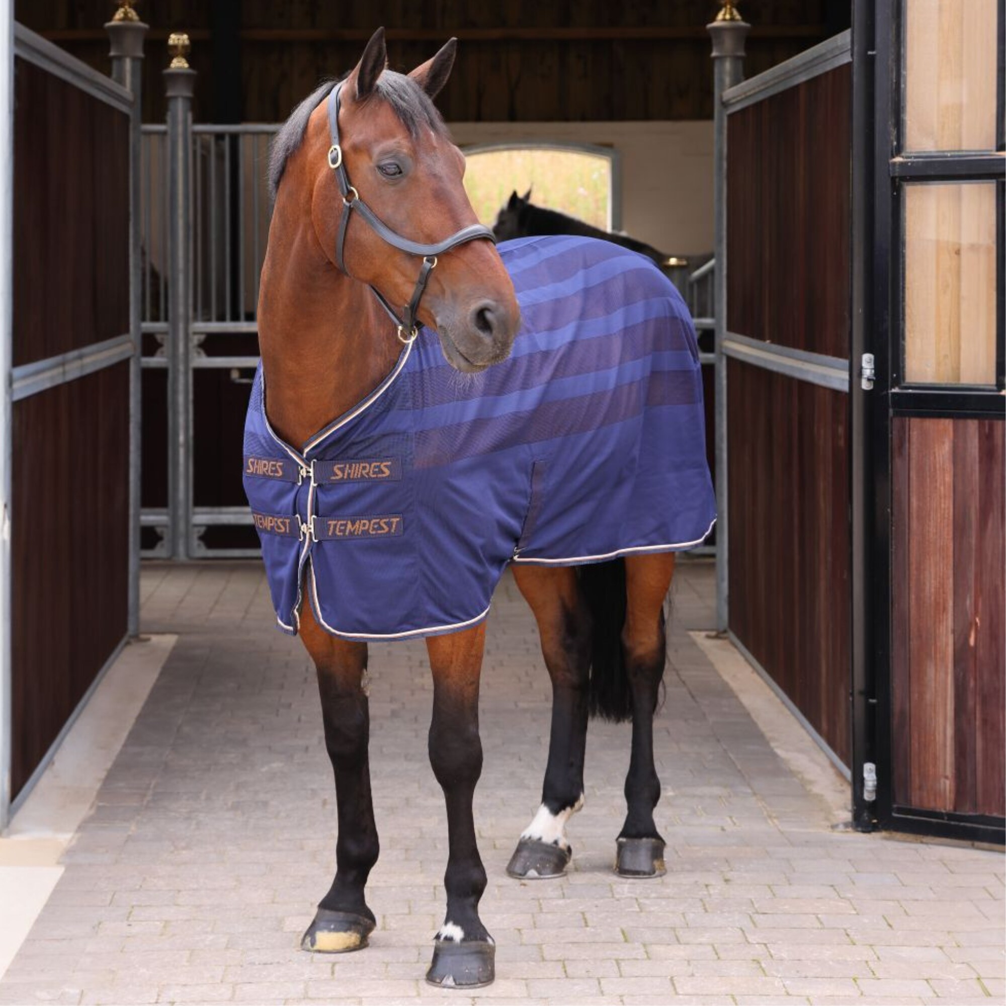 Tempest Cooler Rug - Navy