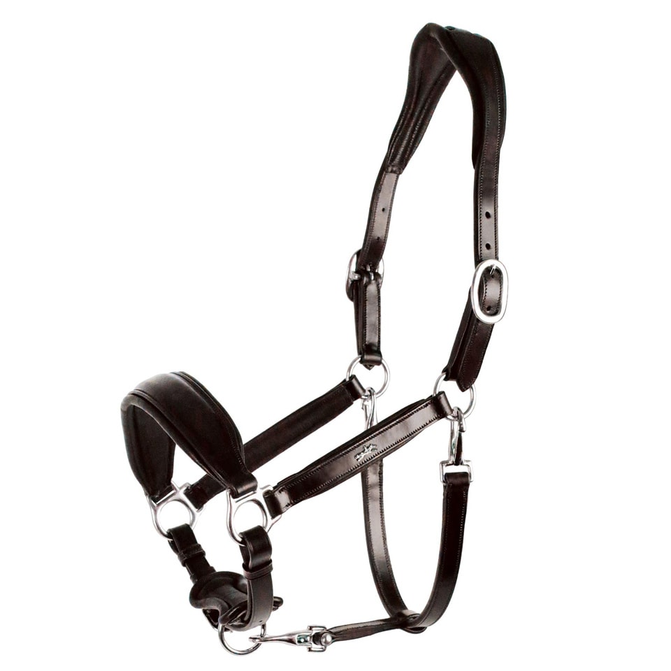 Leather Halter Fremont