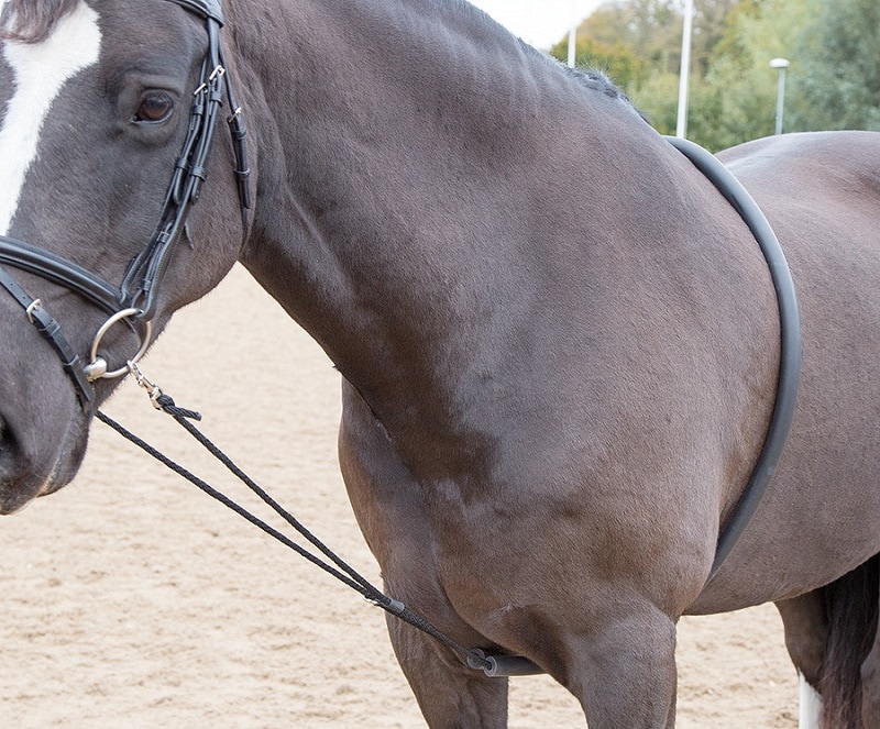 Soft Lunging aid - longerhjälp