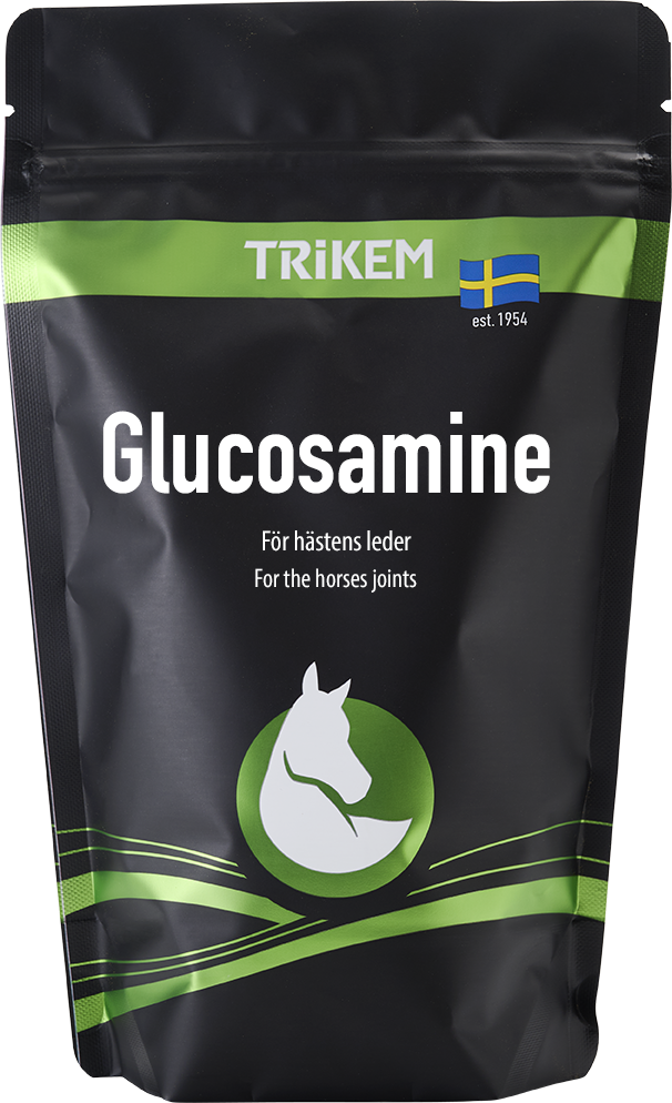 Glucosamine - 500g
