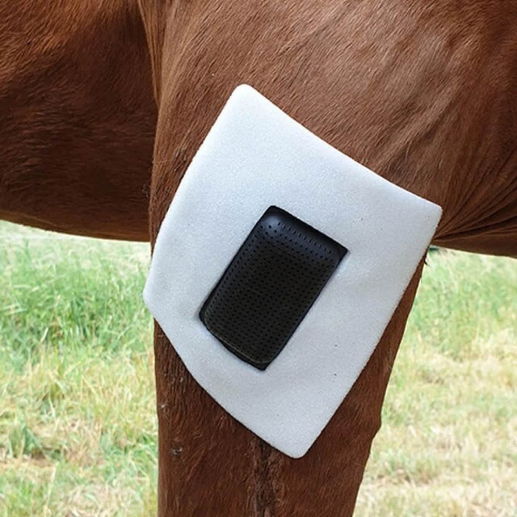 Rheva Extra Fixation - Large