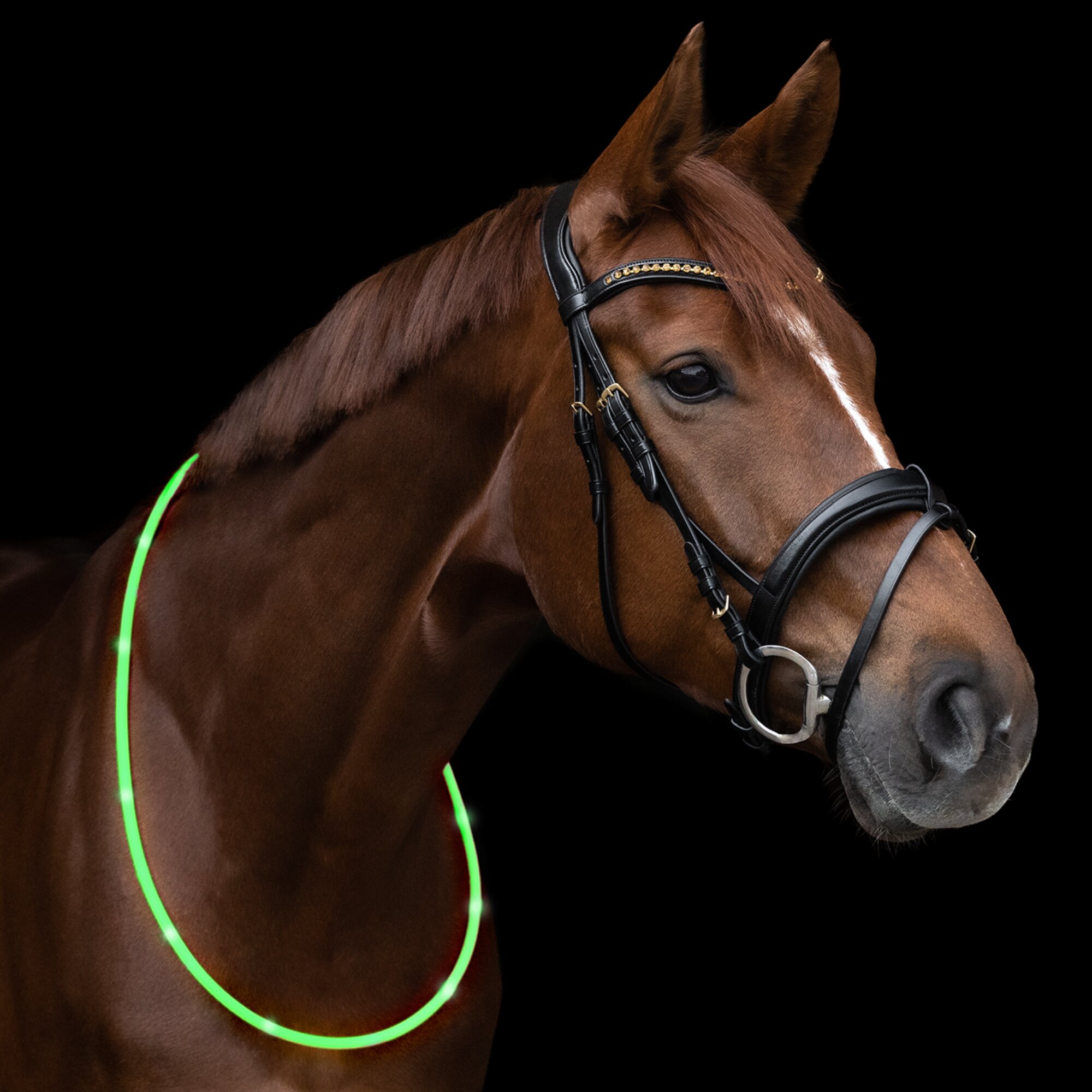 LED illuminated neck ring - Green