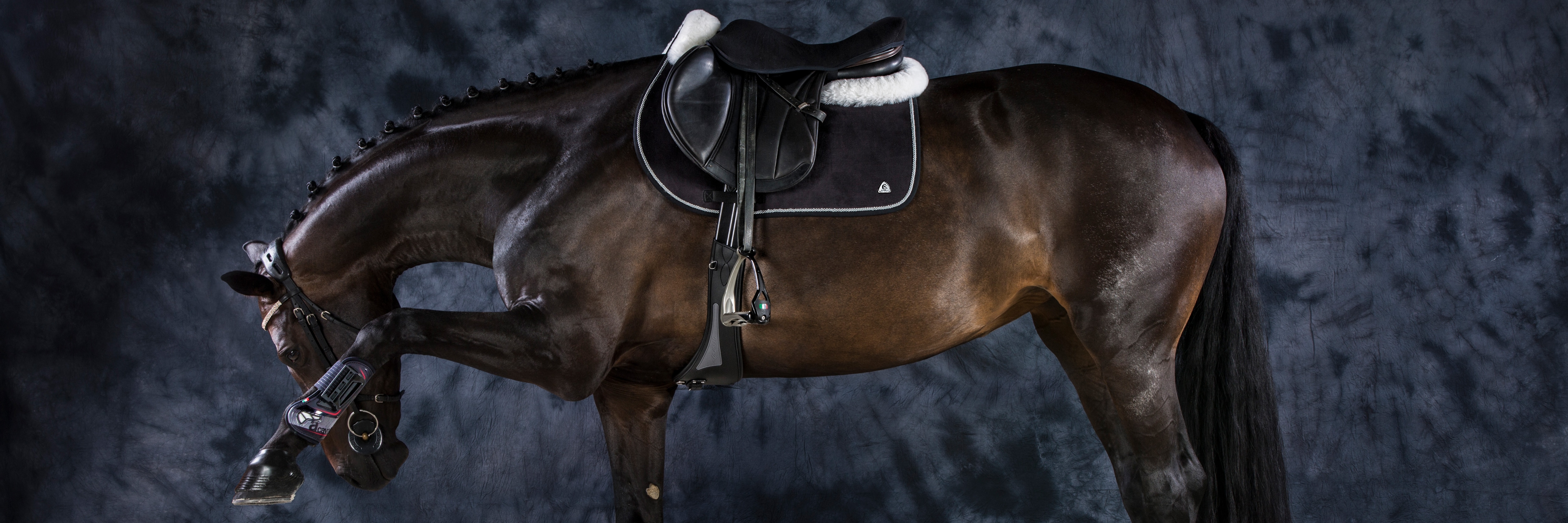 Horse stuff on sale online