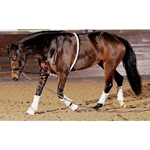 Lunging Aid Soft