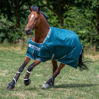 Oats 24 Fly Rug ekzemerdecke Turnout Rug Summer Blanket reude Royal 105 cm Blue 